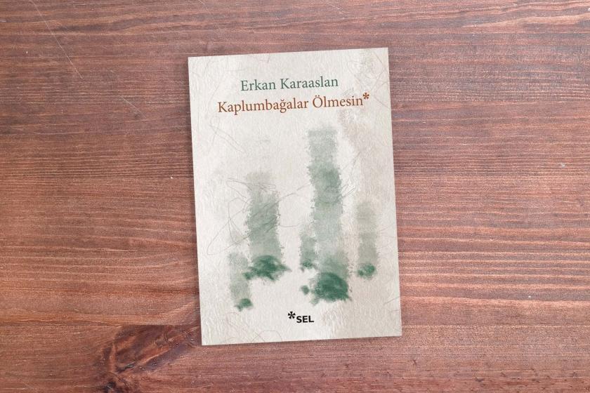 Kaplumbağalar Ölmesin kitap kapağı