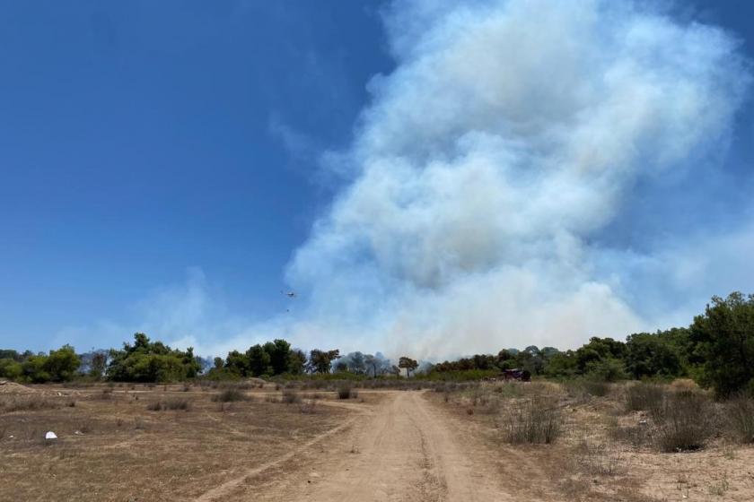 Antalya'da orman yangınına müdahale ediliyor