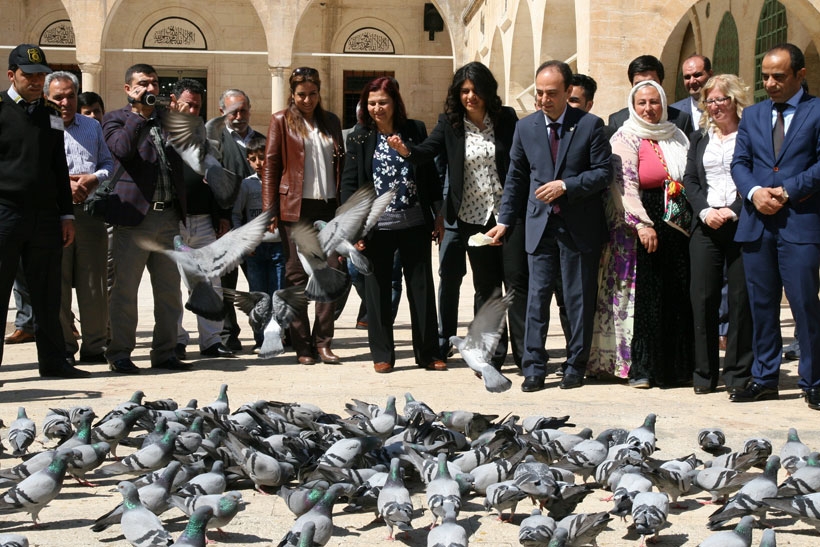 7 Haziran seçimlerine  giderken Urfa’da son durum