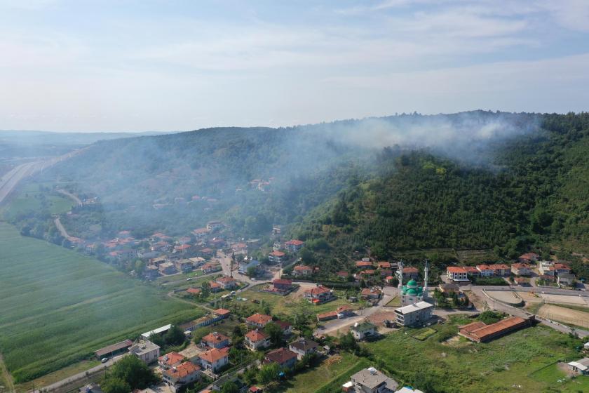 Sakarya'nın Adapazarı ilçesinde çıkan orman yangını