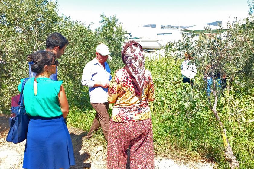 Aydın'ın Çine ilçesine bağlı Yolboyu Mahallesi'nde yapılan bilirkişi incelemesi esnasında çekilen bir fotoğraf.