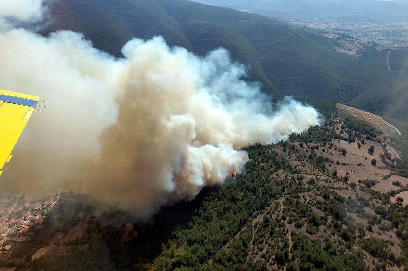 orman yangını