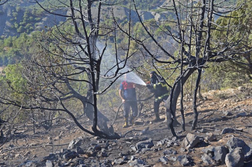 Adıyaman'da çıkan orman yangını kontrol altına alındı