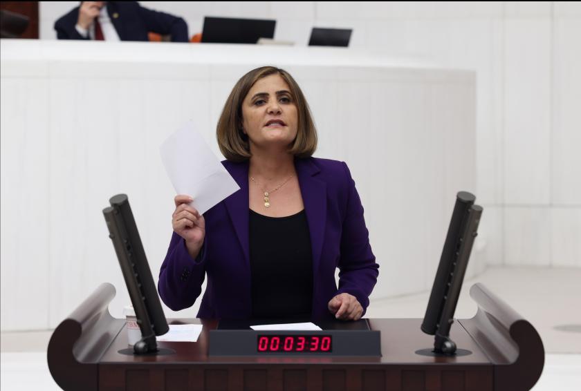 HDP Ağrı Milletvekili Dirayet Dilan Taşdemir