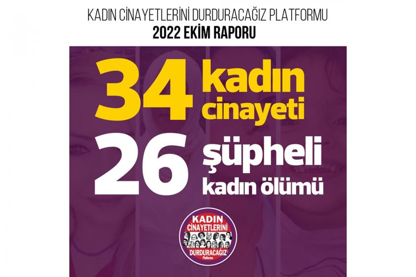 kadın cinayeti verileri