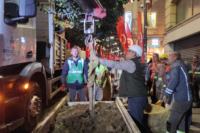 cadde üzerindeki büyük saksılarda bulunan ağacın vince bağlanış anı