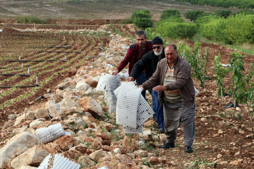 Tarlalara bırakılan plastik atıklar