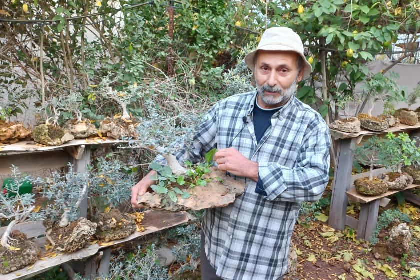 İsmail Seyrek elinde bonsai ağacıyla falezia bahçesinde. 