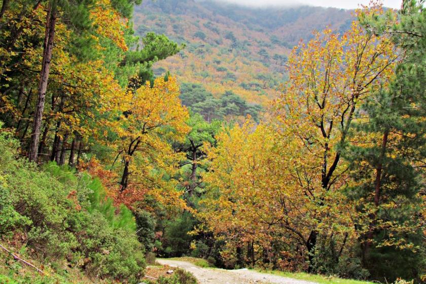 Dilek Yarımadası Milli Parkı