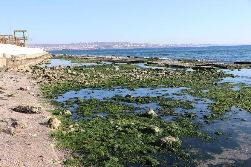 Tekirdağ'da deniz 25 metre çekildi