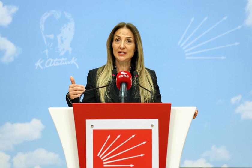 CHP Kadın Kolları Genel Başkanı Aylin Nazlıaka