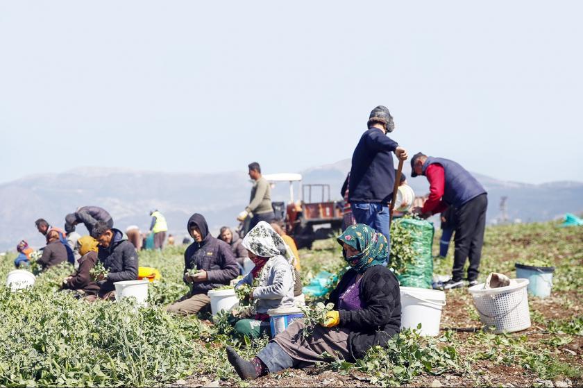 Tarım işçileri