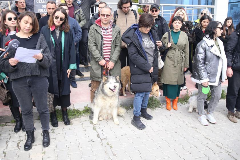 Kırklareli'nde köpek yavrusunu öldürmekle suçlanan zanlının serbest kalmasına tepki