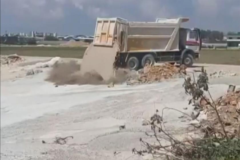 Üzerlerine beton atık suyu dökülen 5 yavru köpekten 3'ü öldü