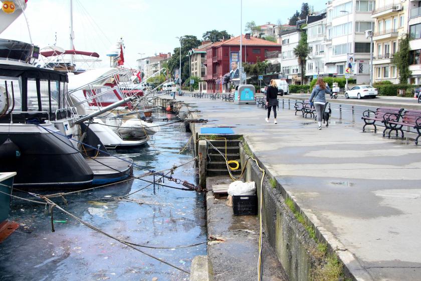 Arnavutköy sahilinde deniz çöplüğe döndü