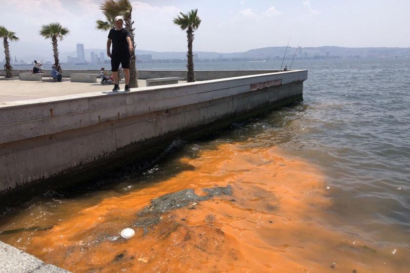 İzmir Körfezi'ndeki renk değişikliği