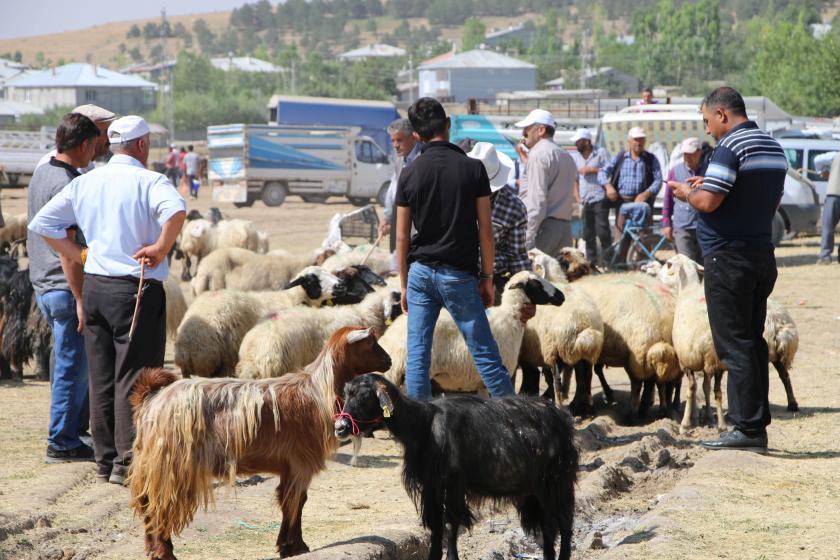 Kurban satış yeri