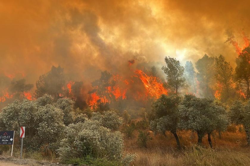 Muğla Milas'ta orman yangını