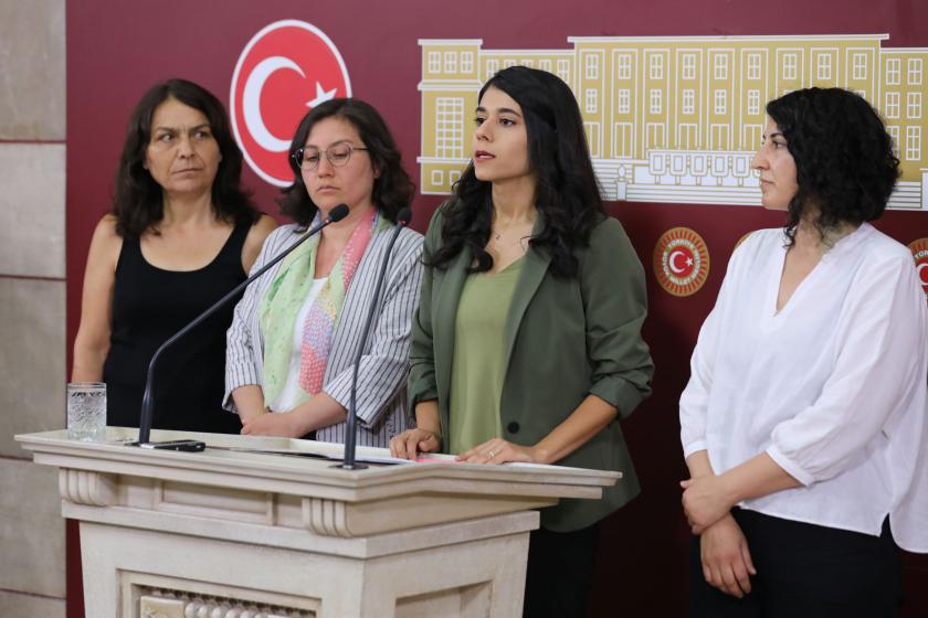 Yeşil Sol Parti ve HDP çocuk istismarı açıklaması