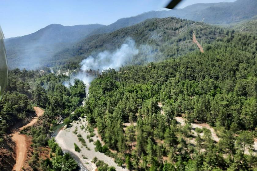 Muğla'da çıkan orman yangını