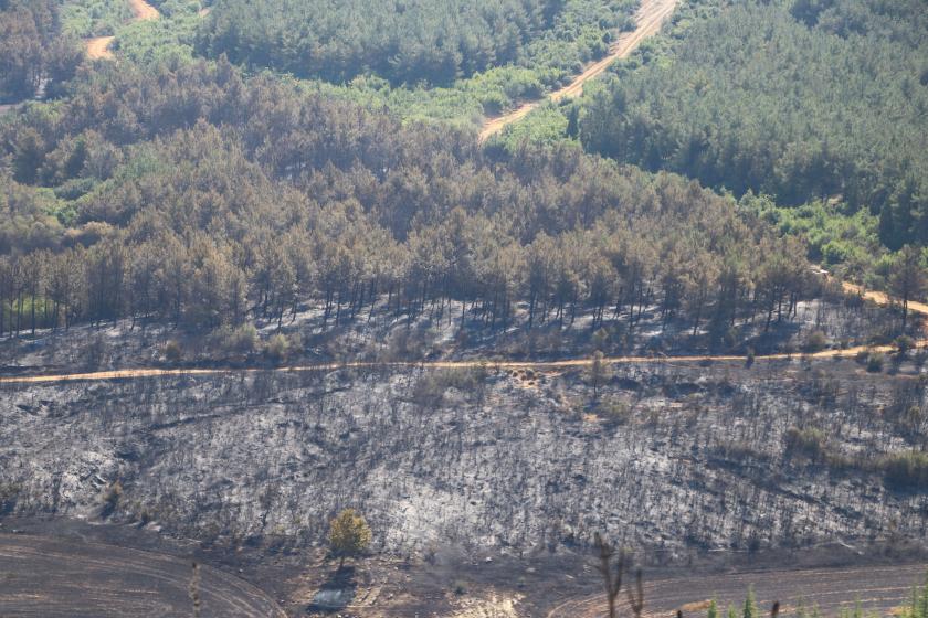 Tekirdağ Malkara'da yanan ormanlık alan 