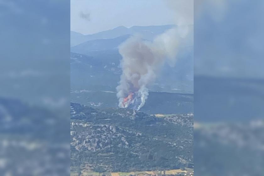 Muğla Orman Bölge Müdürlüğü