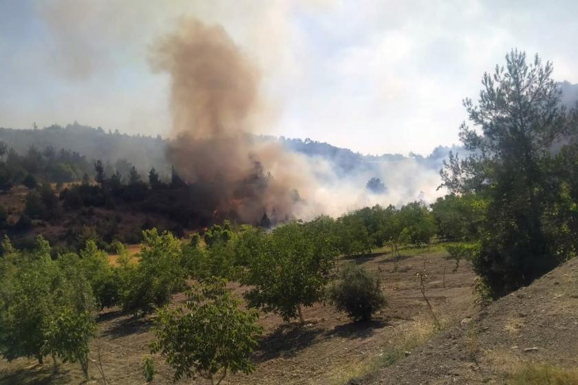 Maraş'ta orman yangını