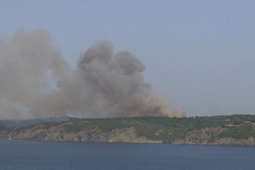 İstanbul Beykoz'da orman yangını