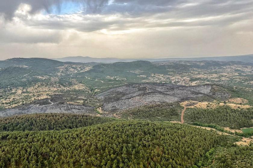 Kütahya Tavşanlı'da orman yangınında zarar gören alan