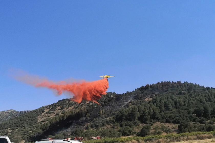 Burdur Bucak'ta orman yangını