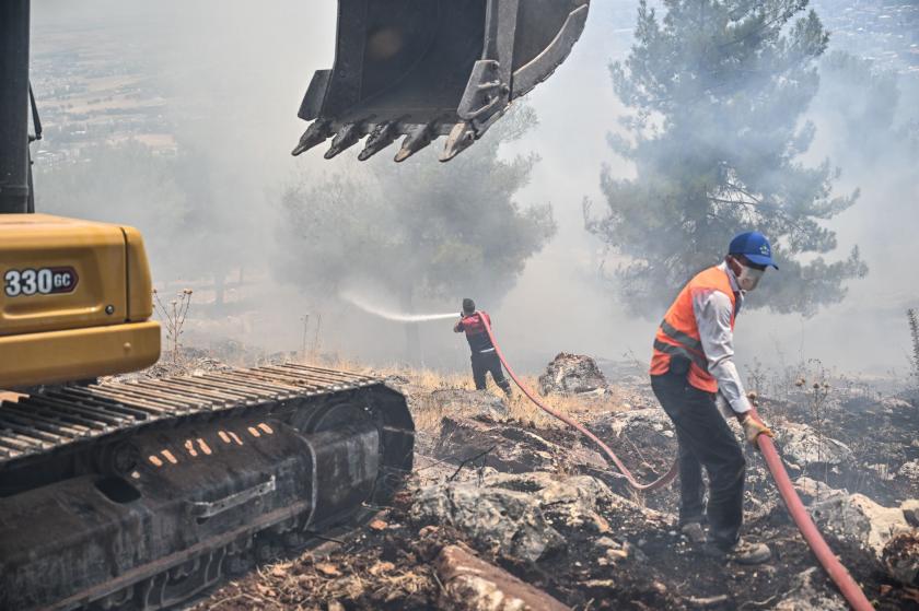 Adıyaman orman yangını 