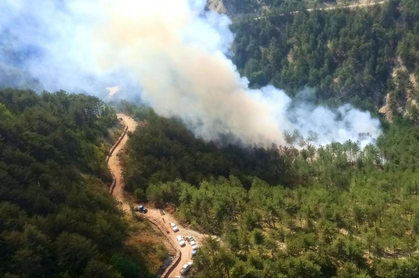 Bolu Mudurnu'da orman yangını