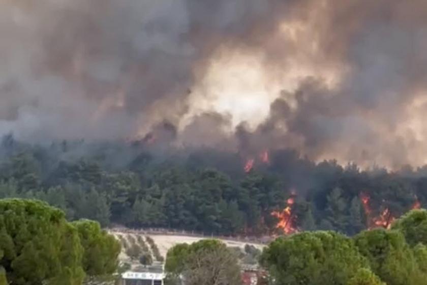 İzmir'de orman yangını