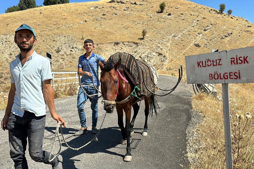 Kuduz karantinasına alınan köy