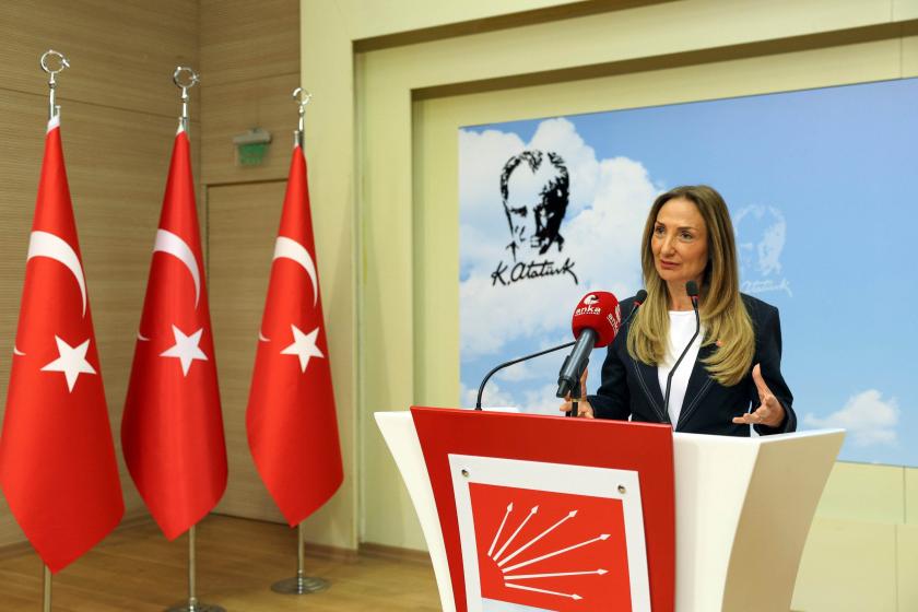 CHP Kadın Kolları Genel Başkanı Aylin Nazlıaka