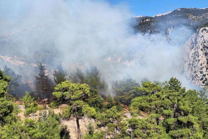 Kaş'ta orman yangını