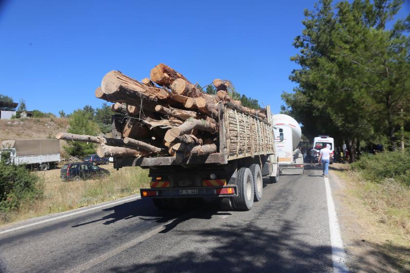 10 yılda 383 bin hektarlık alan orman dışı kullanıma açıldı