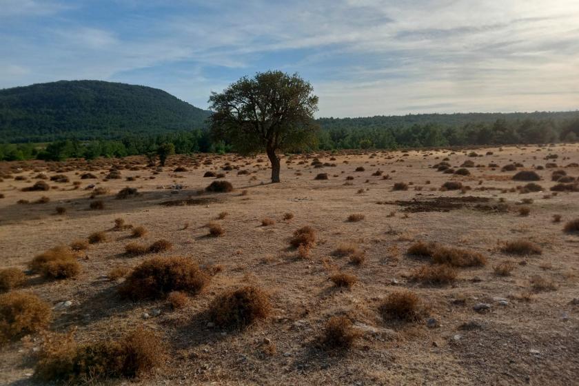 Karaburun Eğlenhoca köyünde GES projesi yapılmak istenen tarla