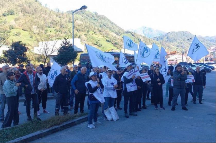 Hopa'da doktora saldırı protestosu