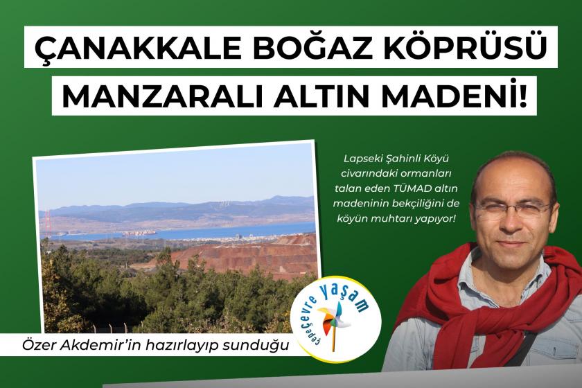 Çanakkale Boğaz Köprüsü manzaralı altın madeni! | Çepeçevre Yaşam