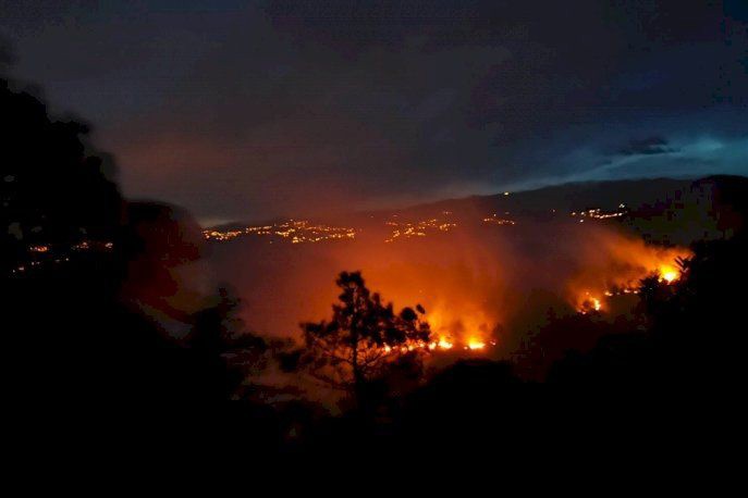 Trabzon'da çıkan orman yangını