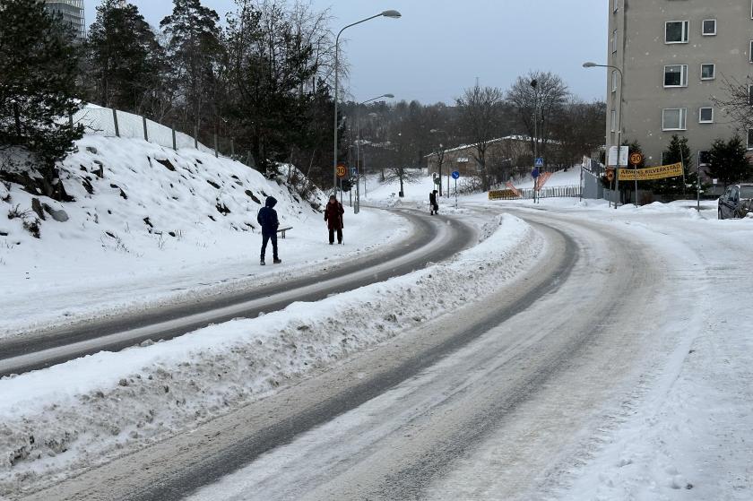 karlı bir yol