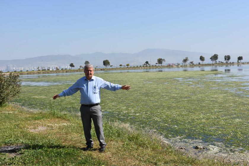 Prof. Dr. Doğan Yaşar