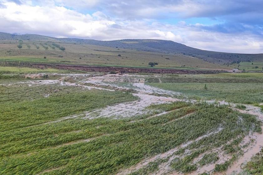 Niğde'de selden zarar gören araziler