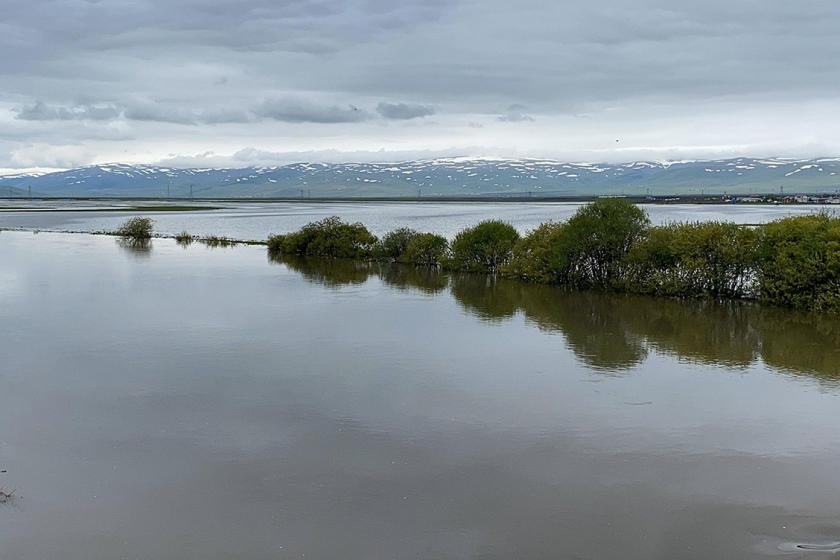 Kura Nehri taştı; Ardahan Ovası göle döndü