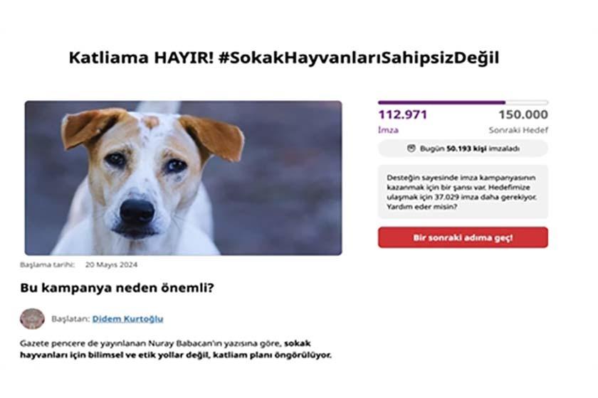 Sokak hayvanları yasasına tepki