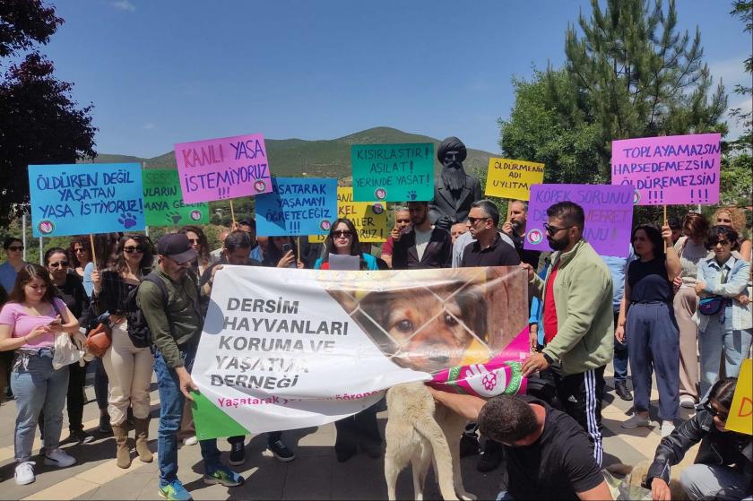 Dersim'de sokak köpekleri için açıklama