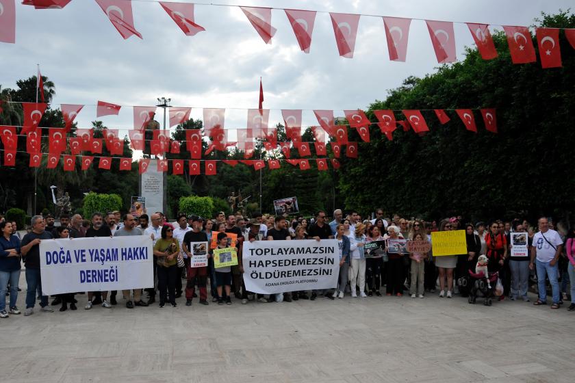 Adana'da sokak hayvanları için basın açıklaması yapıldı