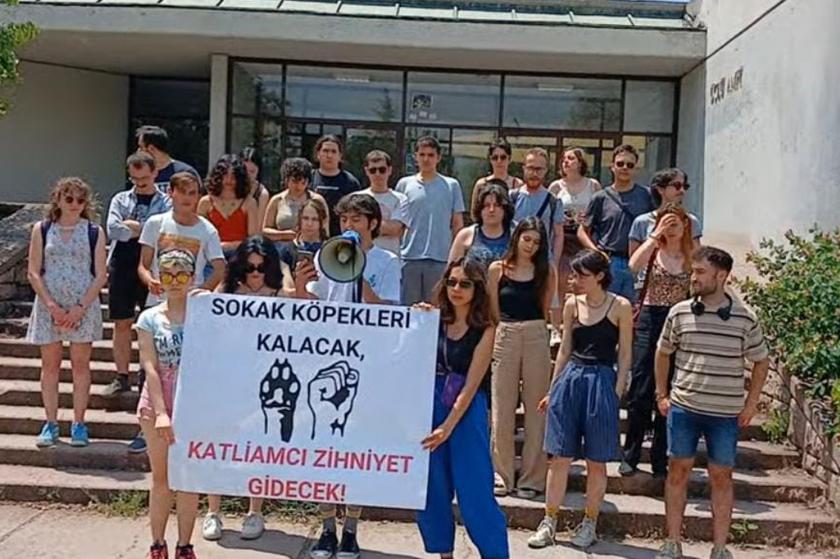 ODTÜ'de sokak hayvanları için açıklama yapıldı 