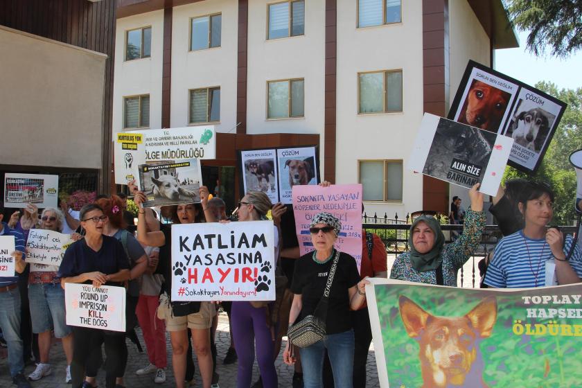 Yaşam için Yasa İnisiyatifi, köpeklerin öldürülmesini öngören yasaya karşı 